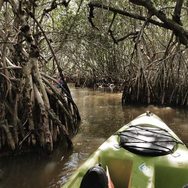 Kayaking template