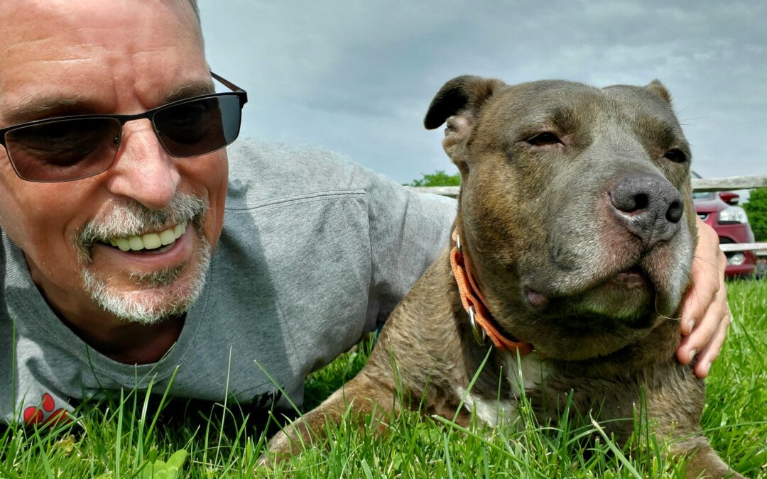 Animal Charity template